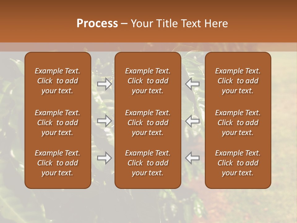 Coffee Plants, Hawaii PowerPoint Template