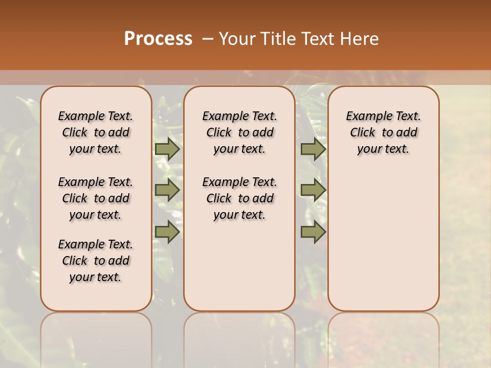 Coffee Plants, Hawaii PowerPoint Template