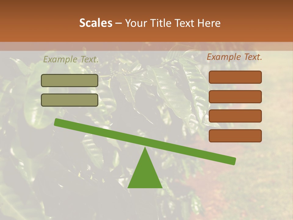 Coffee Plants, Hawaii PowerPoint Template