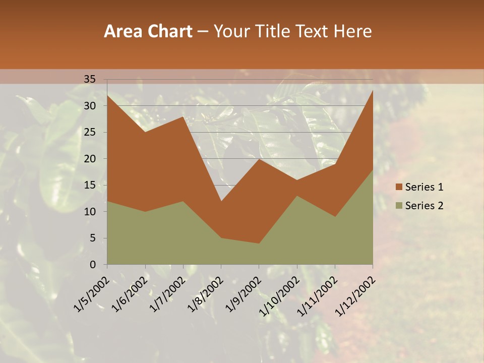 Coffee Plants, Hawaii PowerPoint Template