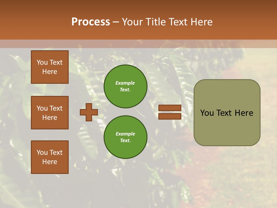Coffee Plants, Hawaii PowerPoint Template