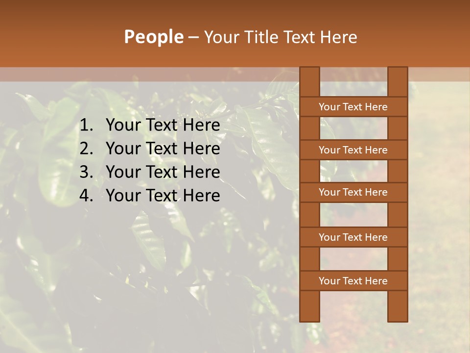 Coffee Plants, Hawaii PowerPoint Template