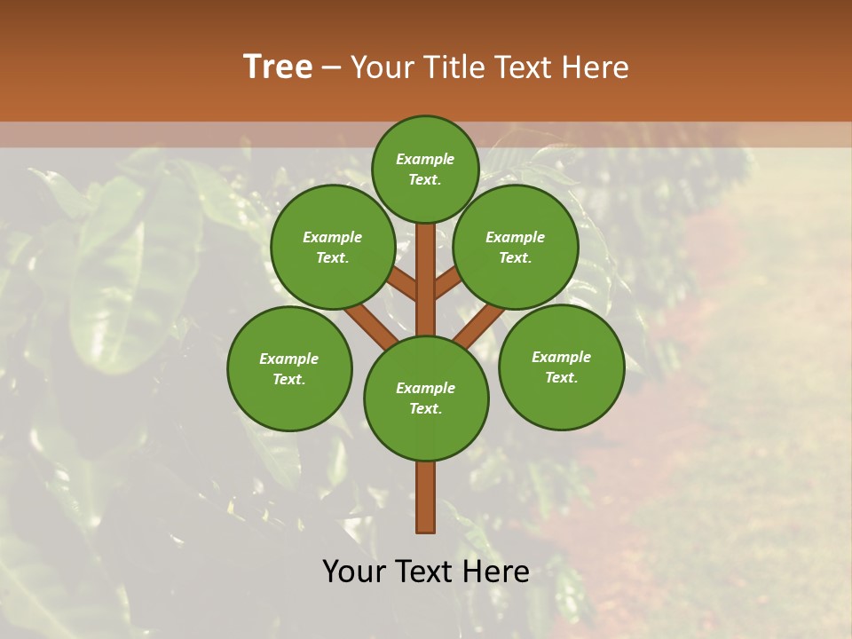 Coffee Plants, Hawaii PowerPoint Template