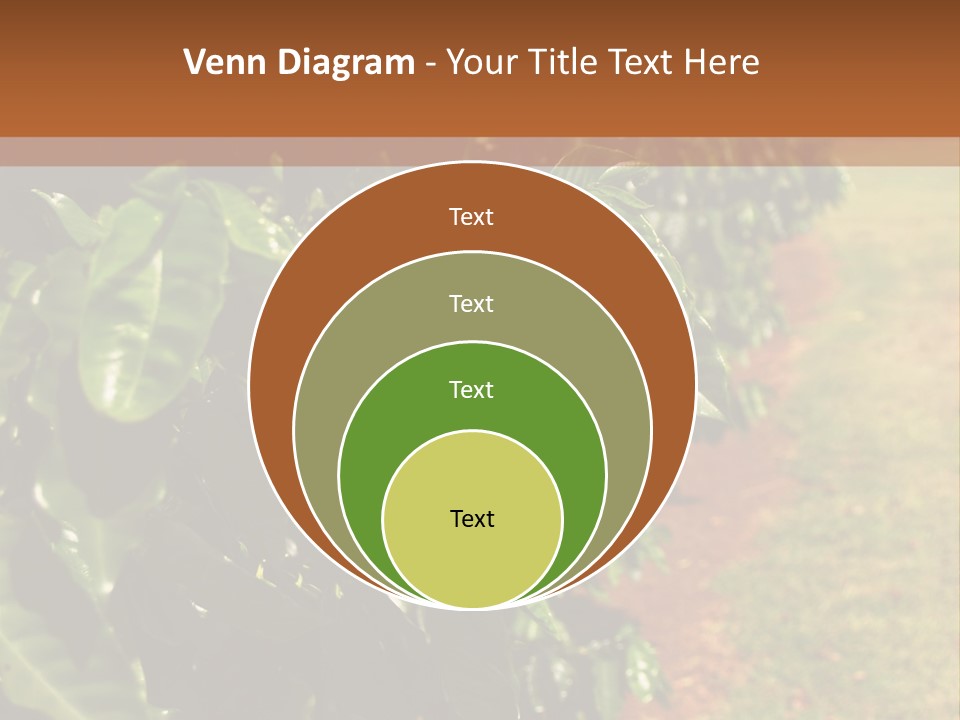 Coffee Plants, Hawaii PowerPoint Template