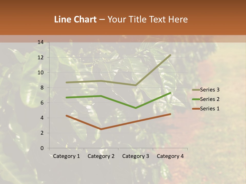 Coffee Plants, Hawaii PowerPoint Template