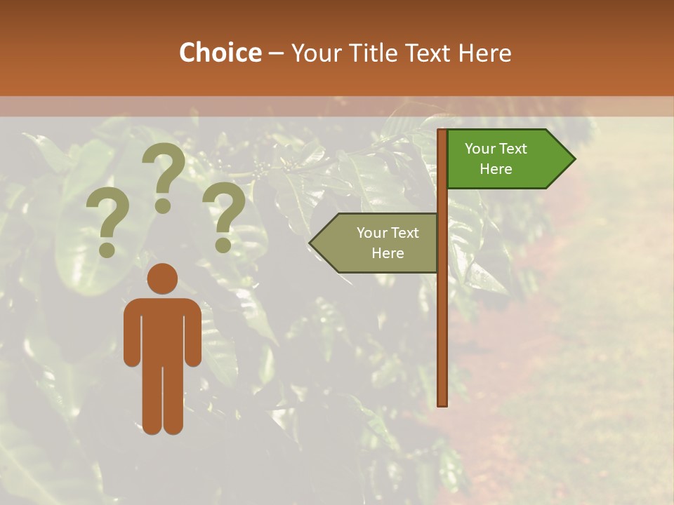 Coffee Plants, Hawaii PowerPoint Template