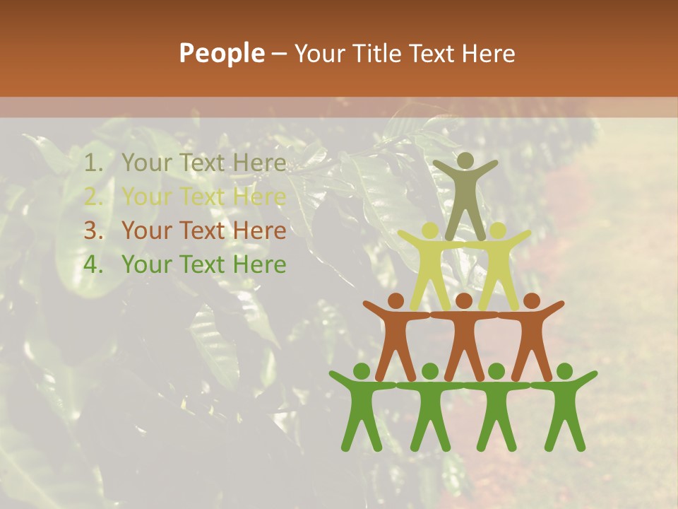 Coffee Plants, Hawaii PowerPoint Template