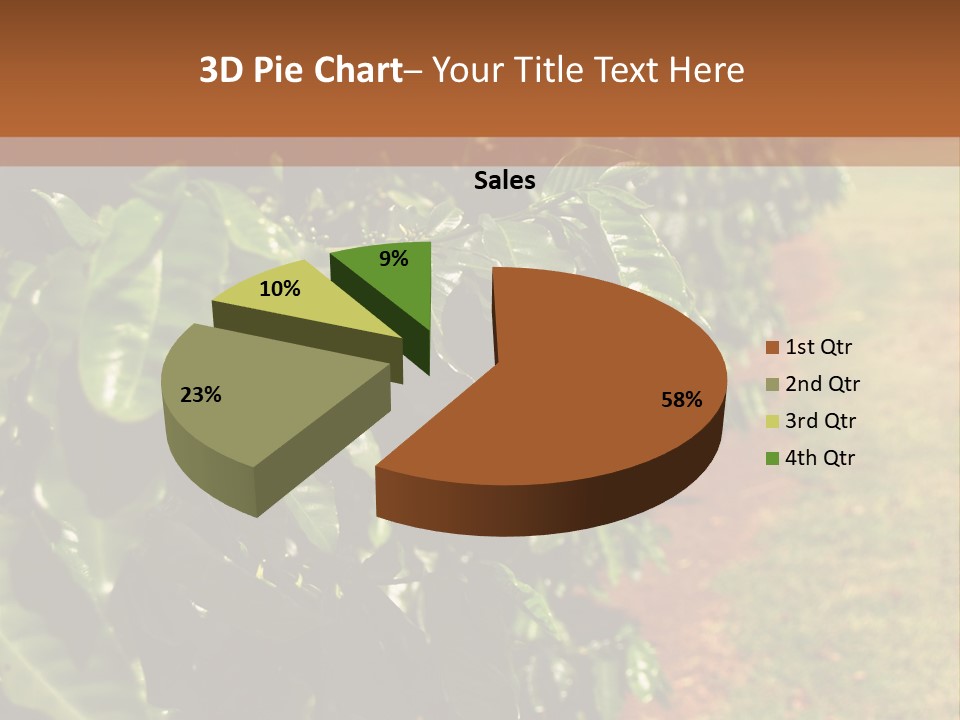 Coffee Plants, Hawaii PowerPoint Template