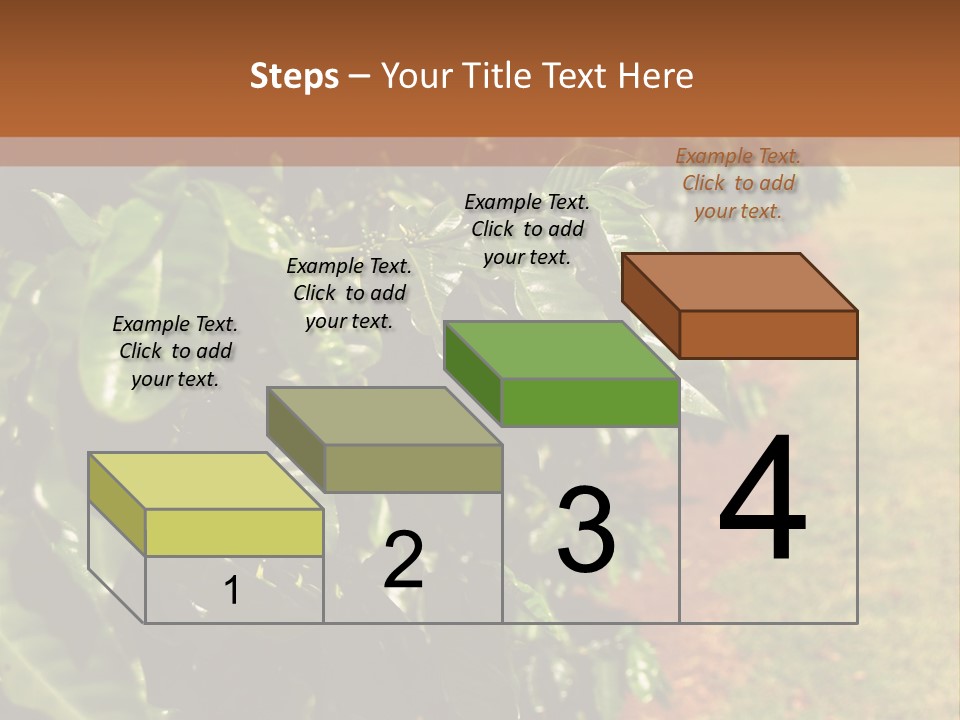 Coffee Plants, Hawaii PowerPoint Template