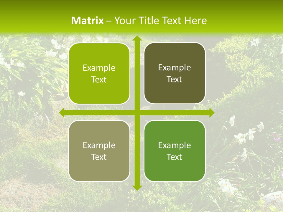 Track In Beautiful Garden Among Flowers And Sculptures - Sunset Light. Shot In Ukraine. PowerPoint Template