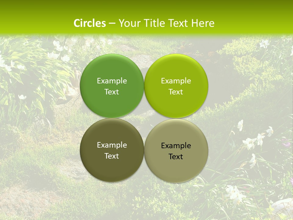 Track In Beautiful Garden Among Flowers And Sculptures - Sunset Light. Shot In Ukraine. PowerPoint Template