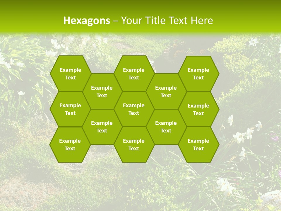 Track In Beautiful Garden Among Flowers And Sculptures - Sunset Light. Shot In Ukraine. PowerPoint Template