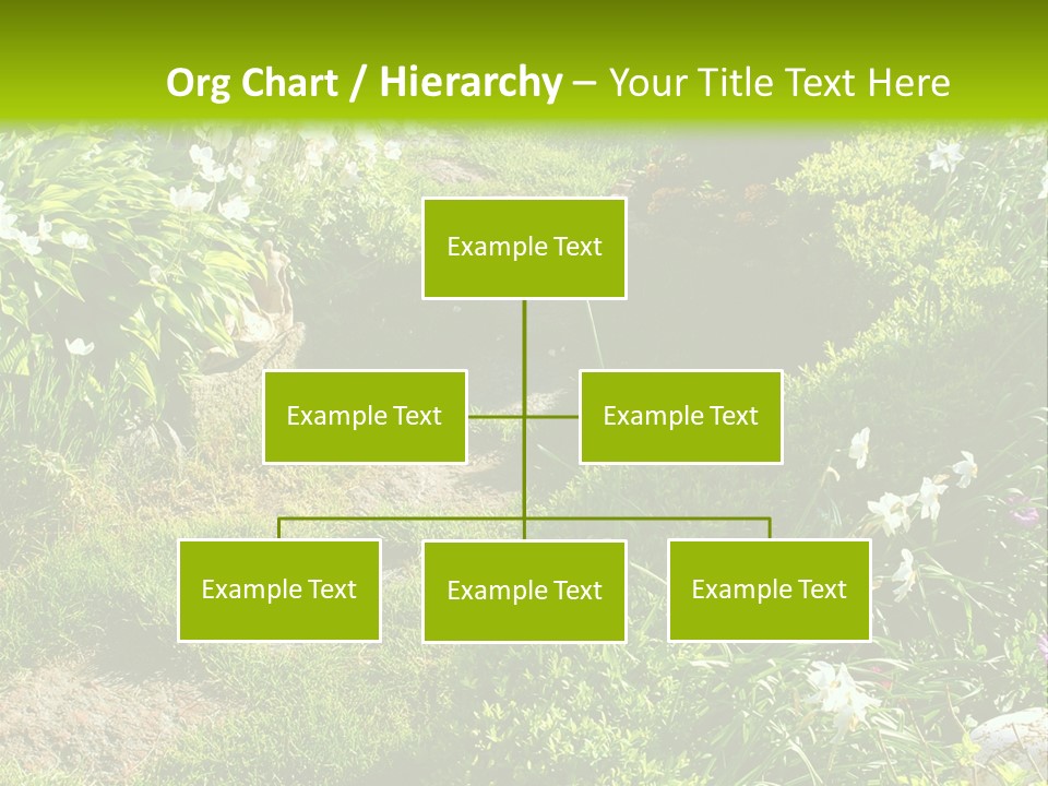 Track In Beautiful Garden Among Flowers And Sculptures - Sunset Light. Shot In Ukraine. PowerPoint Template