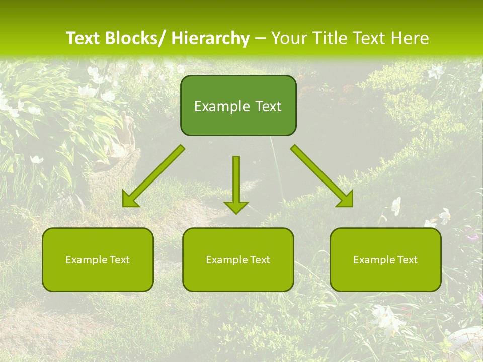 Track In Beautiful Garden Among Flowers And Sculptures - Sunset Light. Shot In Ukraine. PowerPoint Template
