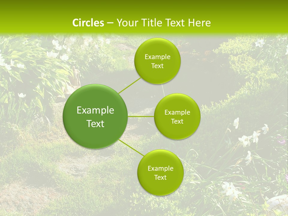 Track In Beautiful Garden Among Flowers And Sculptures - Sunset Light. Shot In Ukraine. PowerPoint Template