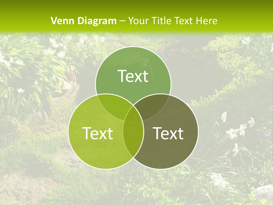 Track In Beautiful Garden Among Flowers And Sculptures - Sunset Light. Shot In Ukraine. PowerPoint Template