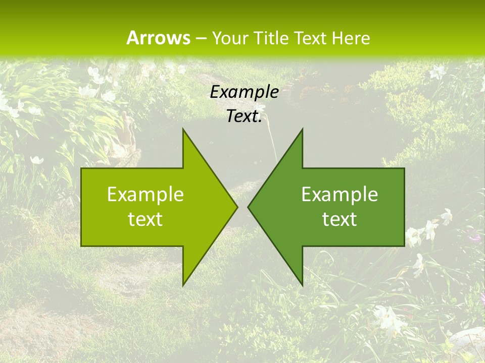 Track In Beautiful Garden Among Flowers And Sculptures - Sunset Light. Shot In Ukraine. PowerPoint Template