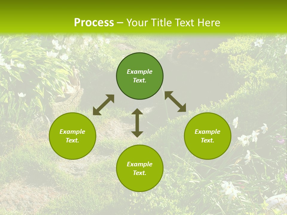 Track In Beautiful Garden Among Flowers And Sculptures - Sunset Light. Shot In Ukraine. PowerPoint Template