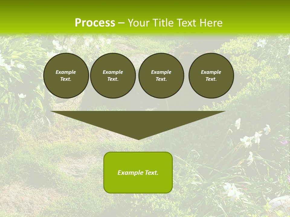 Track In Beautiful Garden Among Flowers And Sculptures - Sunset Light. Shot In Ukraine. PowerPoint Template