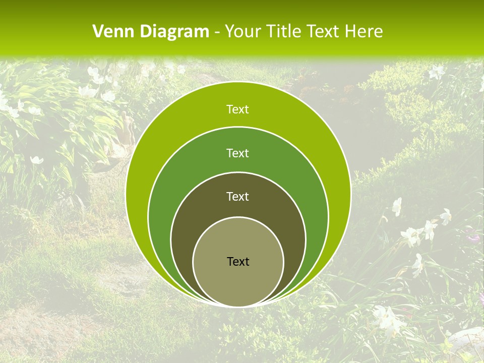 Track In Beautiful Garden Among Flowers And Sculptures - Sunset Light. Shot In Ukraine. PowerPoint Template