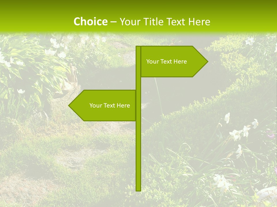 Track In Beautiful Garden Among Flowers And Sculptures - Sunset Light. Shot In Ukraine. PowerPoint Template