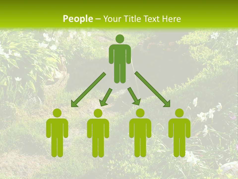 Track In Beautiful Garden Among Flowers And Sculptures - Sunset Light. Shot In Ukraine. PowerPoint Template