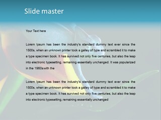 Chameleons Belong To One Of The Best Known Lizard Families. PowerPoint Template