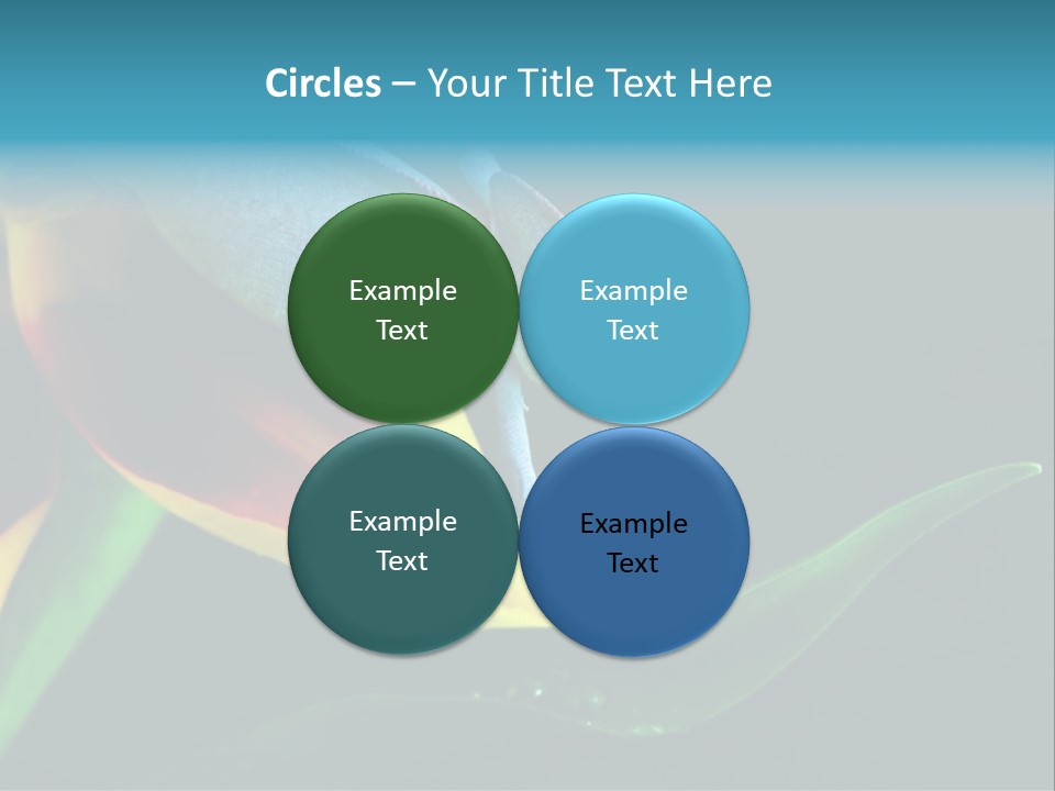 Chameleons Belong To One Of The Best Known Lizard Families. PowerPoint Template