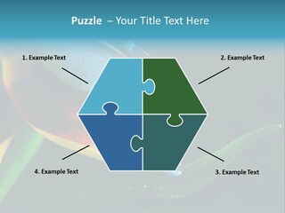 Chameleons Belong To One Of The Best Known Lizard Families. PowerPoint Template