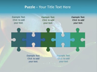 Chameleons Belong To One Of The Best Known Lizard Families. PowerPoint Template