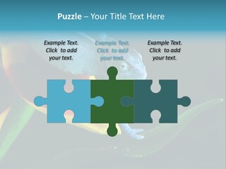 Chameleons Belong To One Of The Best Known Lizard Families. PowerPoint Template