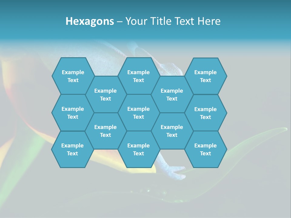 Chameleons Belong To One Of The Best Known Lizard Families. PowerPoint Template