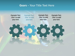 Chameleons Belong To One Of The Best Known Lizard Families. PowerPoint Template