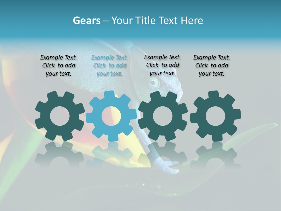 Chameleons Belong To One Of The Best Known Lizard Families. PowerPoint Template