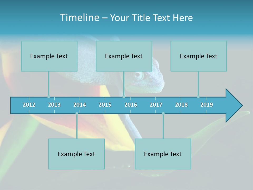 Chameleons Belong To One Of The Best Known Lizard Families. PowerPoint Template