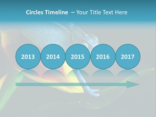 Chameleons Belong To One Of The Best Known Lizard Families. PowerPoint Template