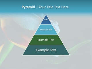 Chameleons Belong To One Of The Best Known Lizard Families. PowerPoint Template