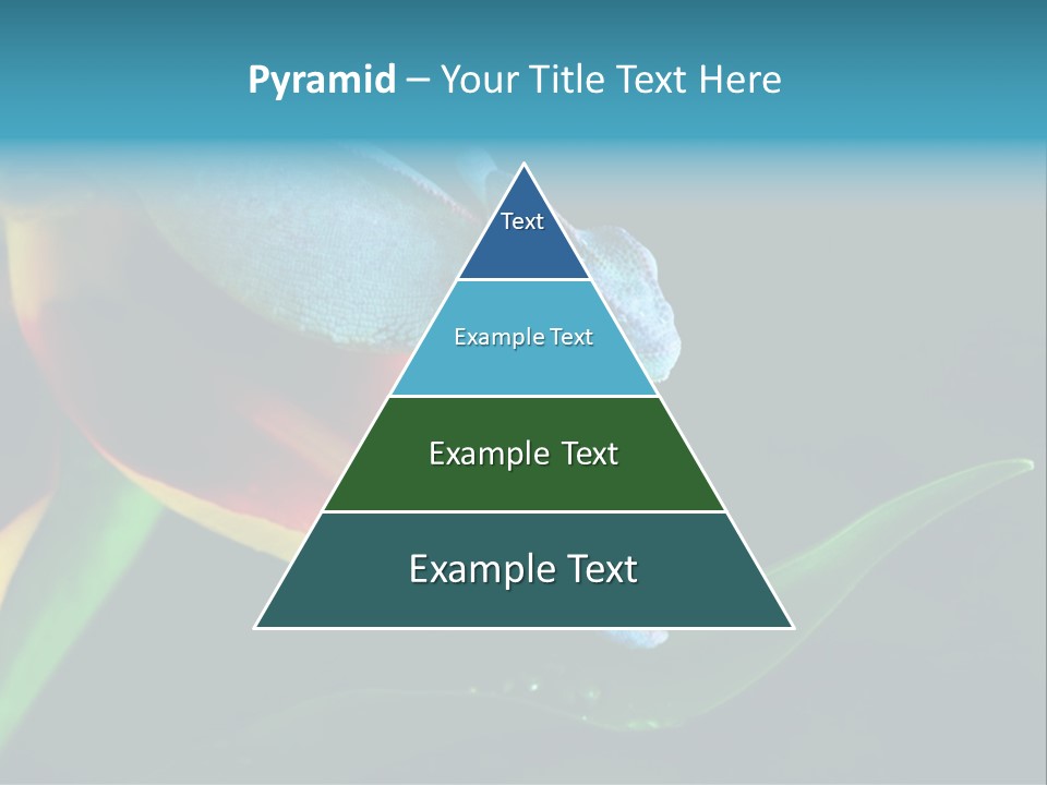Chameleons Belong To One Of The Best Known Lizard Families. PowerPoint Template