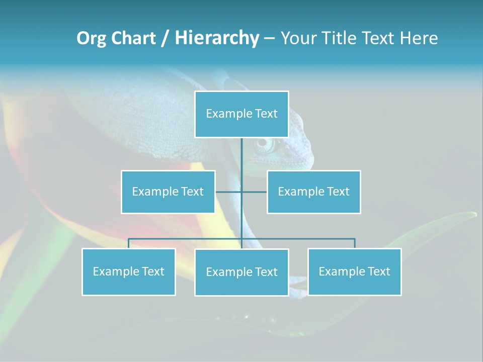 Chameleons Belong To One Of The Best Known Lizard Families. PowerPoint Template