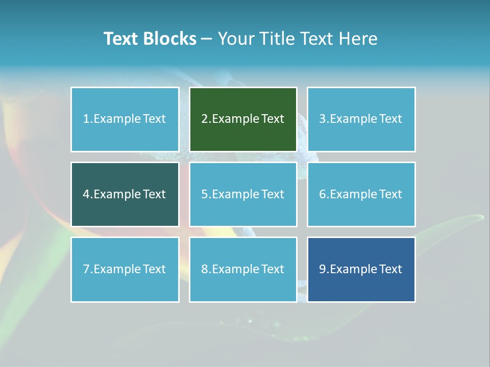 Chameleons Belong To One Of The Best Known Lizard Families. PowerPoint Template