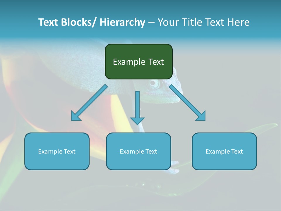Chameleons Belong To One Of The Best Known Lizard Families. PowerPoint Template