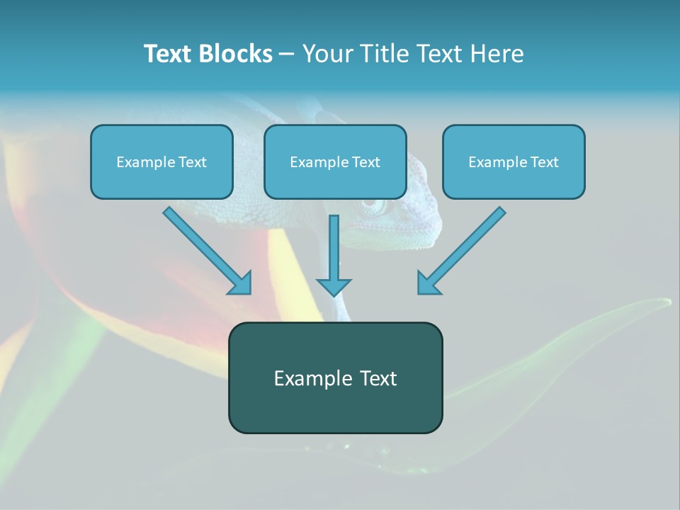 Chameleons Belong To One Of The Best Known Lizard Families. PowerPoint Template