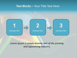 Chameleons Belong To One Of The Best Known Lizard Families. PowerPoint Template