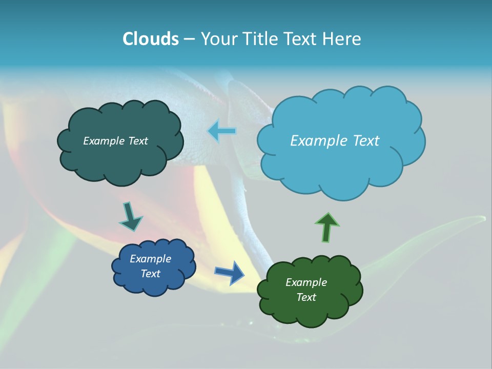 Chameleons Belong To One Of The Best Known Lizard Families. PowerPoint Template