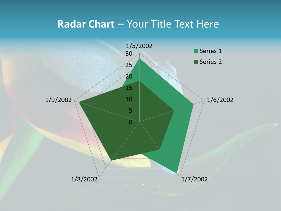 Chameleons Belong To One Of The Best Known Lizard Families. PowerPoint Template