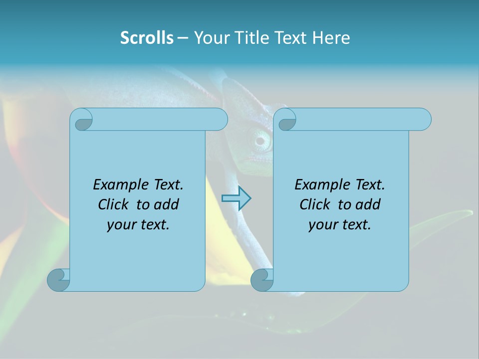 Chameleons Belong To One Of The Best Known Lizard Families. PowerPoint Template
