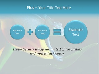 Chameleons Belong To One Of The Best Known Lizard Families. PowerPoint Template