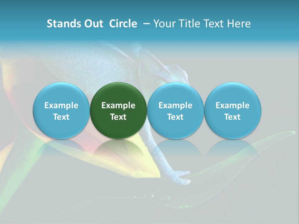 Chameleons Belong To One Of The Best Known Lizard Families. PowerPoint Template