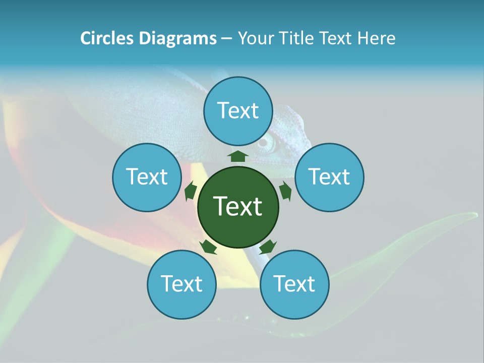 Chameleons Belong To One Of The Best Known Lizard Families. PowerPoint Template