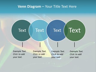 Chameleons Belong To One Of The Best Known Lizard Families. PowerPoint Template